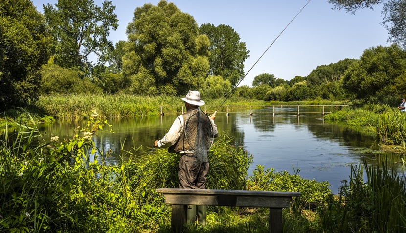 River Test fishing